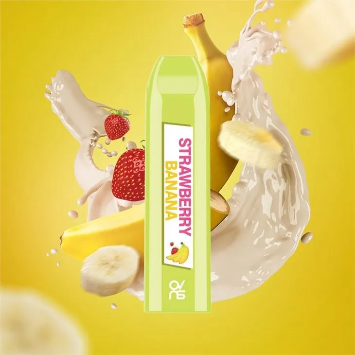 Refreshing Cool Mint Disposable Vapor Kit